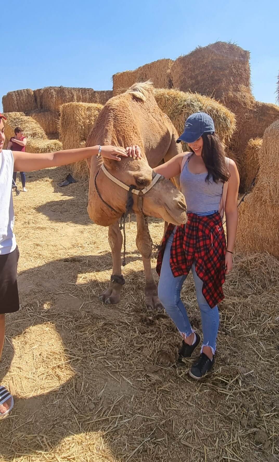 חלב בראשית טיול
